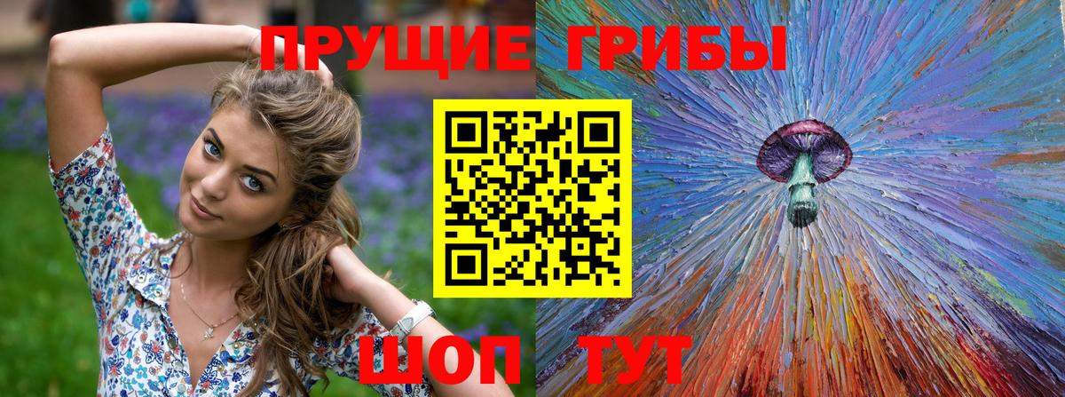 Галлюциногенные грибы прущие грибы  Галлюциногенные грибы ЛСД  Вход с VPN  Ртищево 