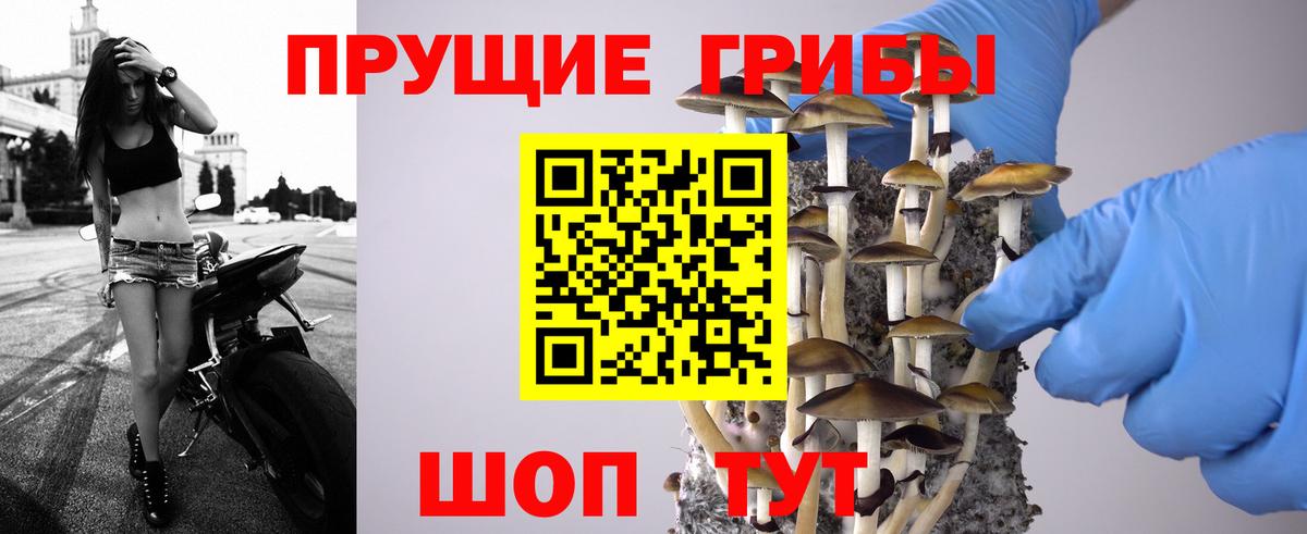 Псилоцибиновые грибы прущие грибы Ртищево